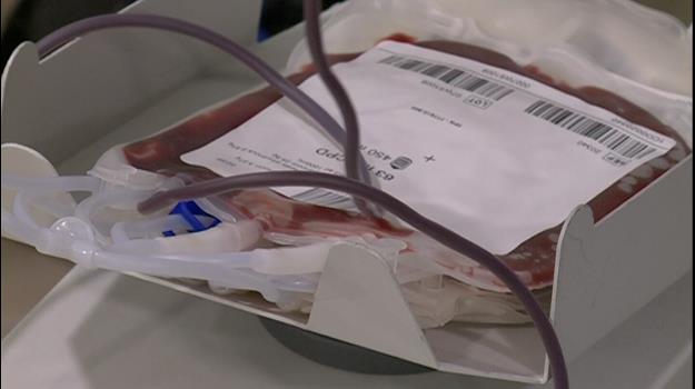 La campanya de tardor de donacions de sang de la Creu Roja s'ha t