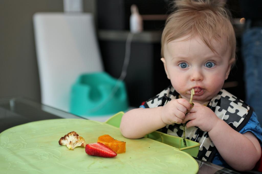 Baby Led Weaning: nens que mengen sols