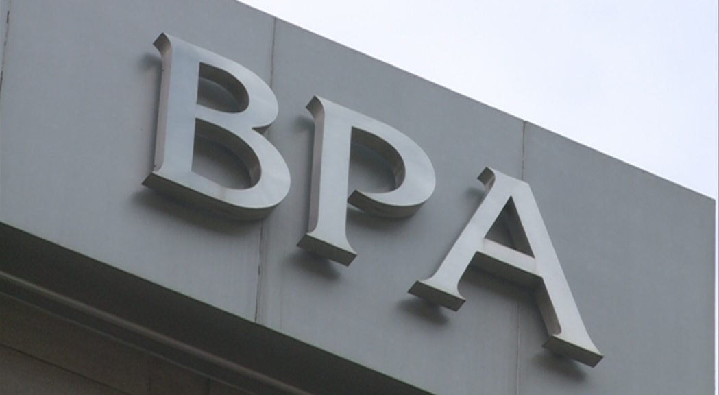 Els impulsors del banc Raiffeisen proposen a l'AREB alternatives per salvaguardar el valor de BPA