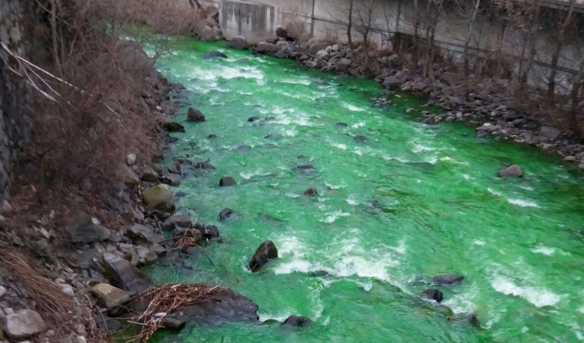 La investigació de l'aigua d'Arinsal tenyeix el riu de verd i alerta la ciutadania 