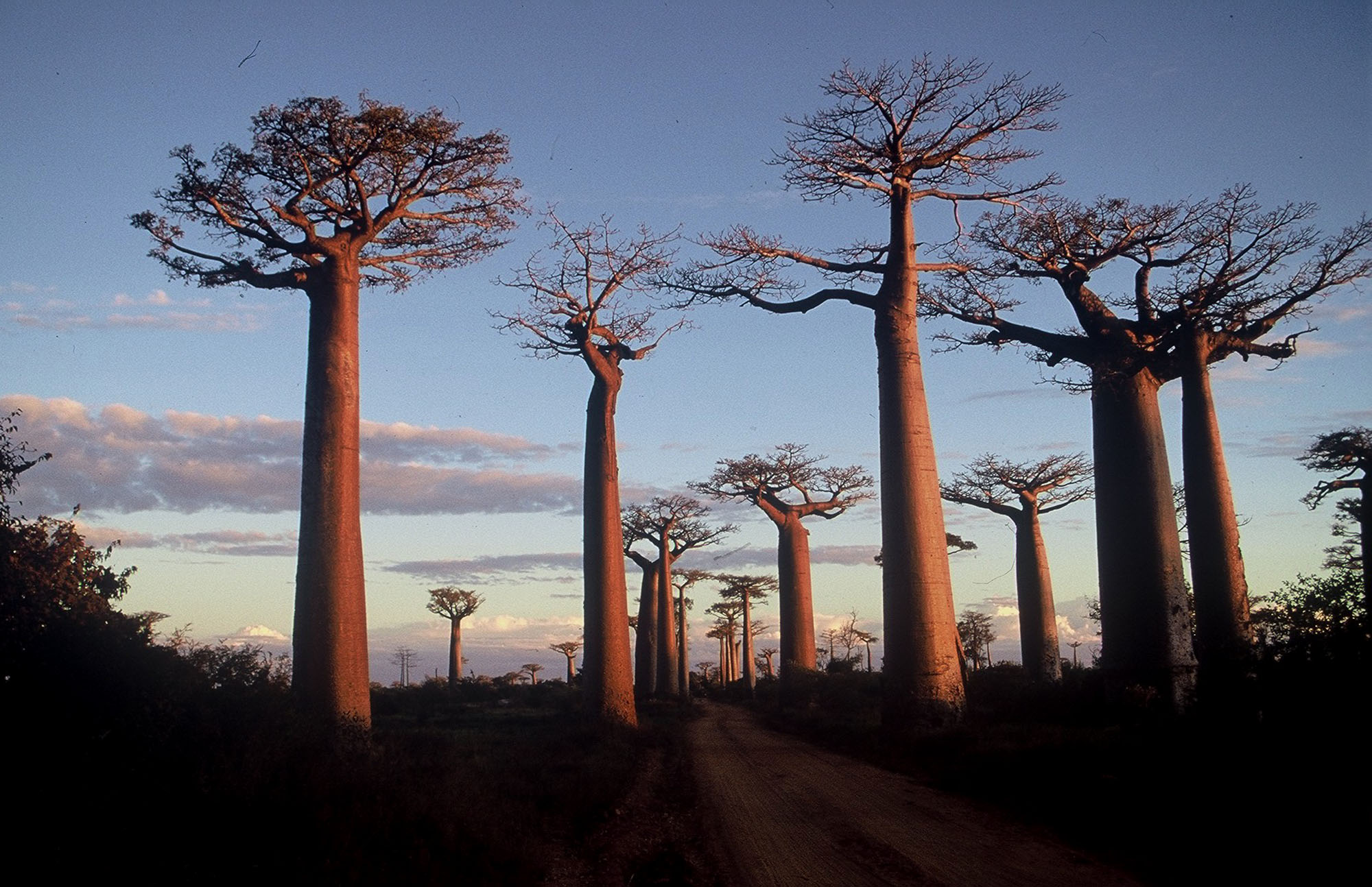 Descobrint Madagascar