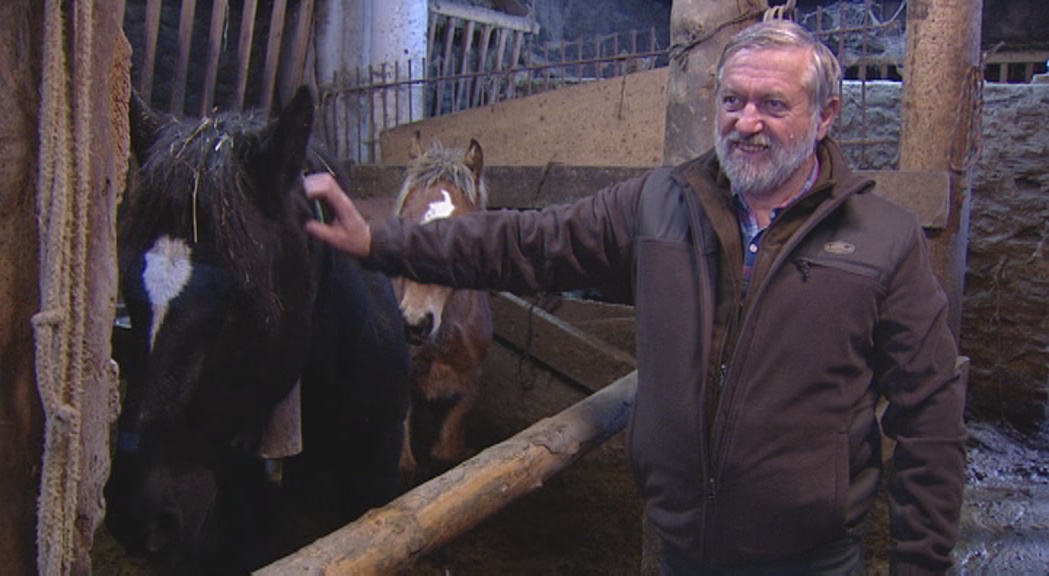 Els demòcrates de Canillo proposen crear una cooperativa per mantenir viu el sector ramader