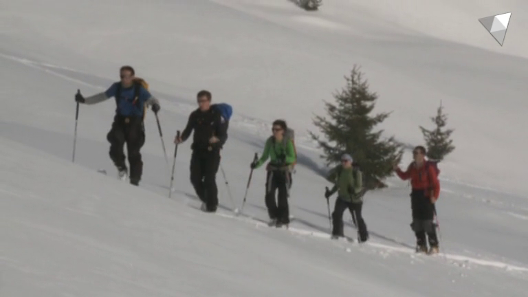 Neu i allaus - les mesures de seguretat en l'esquí de muntanya