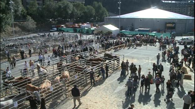 La fira del bestiar reuneix prop de 200 animals