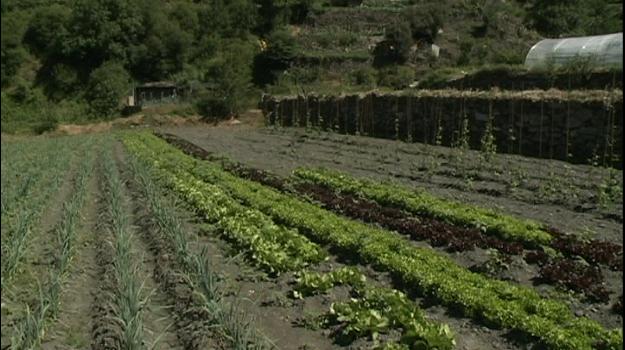 Obtenir la confiança del consumidor, objectiu de les hortalisses de Sabors i Aromes d'Andorra