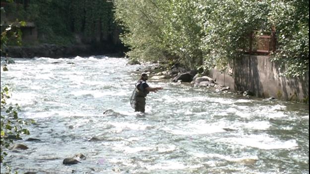 El concurs de pesca esportiva sense mort omple el riu de participants