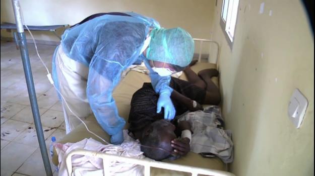 Els símptomes de l'Ebola i la malària