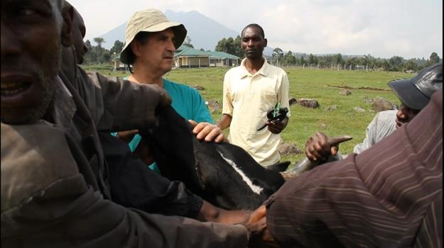 L'ONG Daktari viatja a Uganda per sanejar els animals i conscienciar els nens
