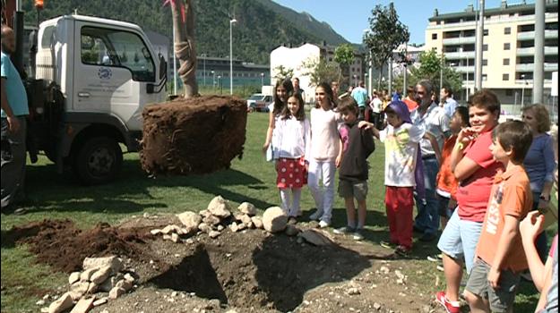 Els infants d'Escaldes se sumen al Dia mundial del medi ambient amb una plantada d'arbres