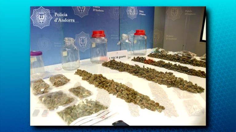 Decomissats 1.759 grams de marihuana destinada al tràfic