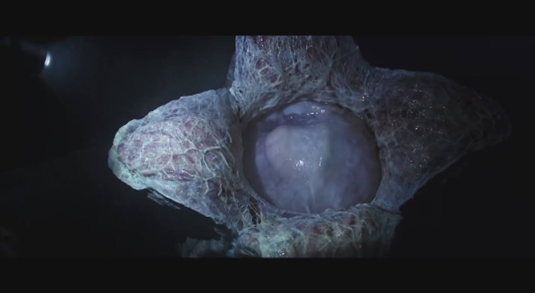Estrenes: Ridley Scott explora els orígens del seu vuitè passatger