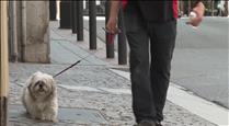 4.000 gossos inscrits al cens amb l'analítica gratuïta d'ADN