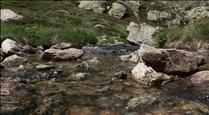 Andorra s'adhereix a la proposta de resolució de MedWet per a la conservació de zones humides