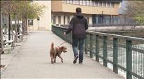 Andorra la Vella reclama uns 25.000 euros per la taxa de tinença de gossos