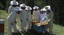 Grandvalira estrena visites guiades amb un apicultor per divulgar com es produeix la mel