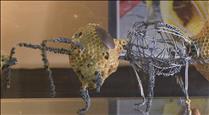'Beeart', escultures creades per abelles
