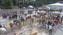  El bestiar atrau un any més petits i grans a Prada Casadet