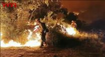 Els bombers de la Generalitat prioritzen l'incendi a Artesa de Segre