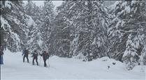 Les bones condicions de neu afavoreixen l'arribada d'esquiadors de muntanya abans de l'obertura de pistes