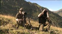 Cabanes celebra l'absència de malalties entre els isards d'Andorra