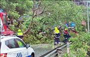 La caiguda d'un arbre per la tempesta obliga a tallar la CG-3 entre la Massana i Ordino durant una hora