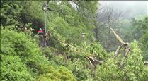 Calvó fa una crida als comuns per netejar els boscos mentre es treballa en la retirada dels arbres caiguts pel temporal