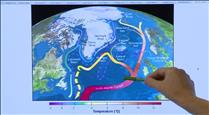 El col·lapse del corrent de l'Atlàntic, un fenomen que afectaria tothom i seria irreversible