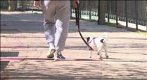 Comuns i veterinaris es reuniran dimecres per aclarir dubtes amb el cens caní