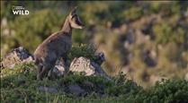 El documental de National Geographic 'Andorra al natural' s'emetrà aquest dijous a les 22h