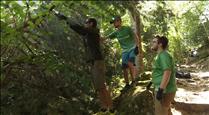 Els ecoguardes del Madriu, figures clau per mantenir el bon estat de la vall