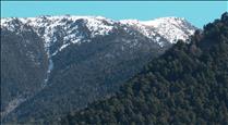 L'enginyer Jordi Llovera alerta que els boscos d'Andorra esgoten al març la capacitat d'absorbir les emissions de tot l'any 