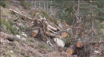Escaldes-Engordany assegura que no hi ha risc de caiguda de blocs rocosos al bosc de la Plana