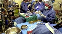 Espanya lidera la donació d'òrgans