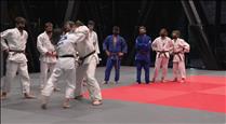 La Federació de Judo tanca tres dies d'estada amb Pascal Tayot de tècnic i una quinzena de lluitadors