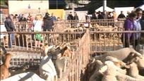 La fira de Canillo vol impulsar l'ofici de la ramaderia