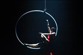 L'espectacle del Cirque du Soleil d'aquest estiu s'ajorna fins al 2021