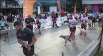 Més d'un centenar d'equips participaran a l'OTSO Trail Dog