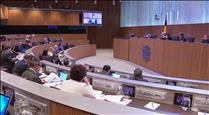 Les mesures per combatre la crisi energètica i la llei de biomedicina, a votació al Consell General