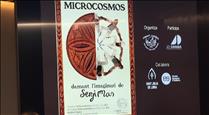 Microcosmos, un espectacle per homenatjar Sergi Mas
