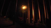 Natura i paraules en l'espectacle nocturn al bosc de la Rabassa 
