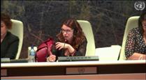 L'ONU recomana a Andorra despenalitzar l'avortament
