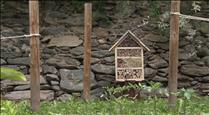 Ordino instal·la als horts de Casa Rossell un dels hotels d'insectes creats per l'Aula Taller