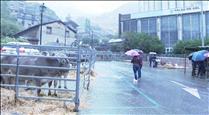 La pluja desllueix la Fira de Canilo que compta de totes maneres amb el bestiar previst a la mostra