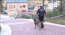 La policia activarà un dispositiu de vigilància amb gossos a les escoles per detectar substàncies estupefaents