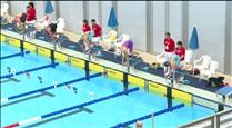 Quatre nedadors representaran Andorra a l'Europeu de piscina curta de Glasgow