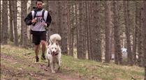 Un recorregut de 21 quilòmetres és la gran novetat de l'OTSO Trail Dog