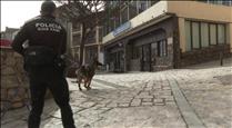 Reportatge: com s'entrenen els gossos de la policia per trobar fugitius i explosius