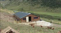 Reportatge: La primera granja ecològica d'Andorra