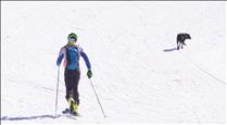 Ski Andorra presenta el Forfet Natura amb la voluntat d'integrar l'esquí de muntanya a les estacions