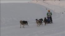 La Snow Race de Gos Àrtic arriba a l'equador